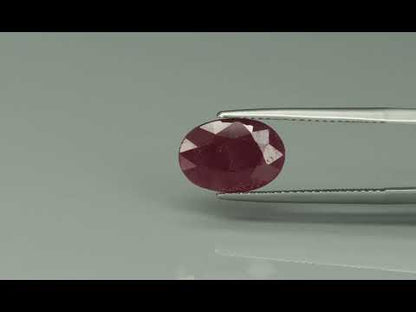 Primary video