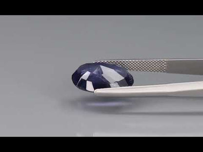 Primary video