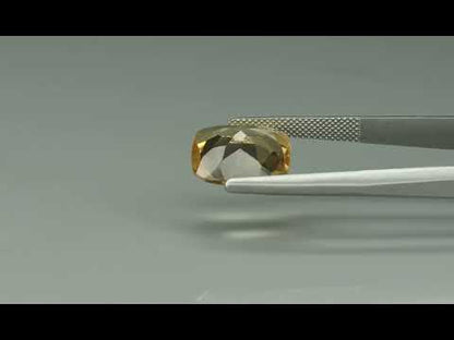 Primary video