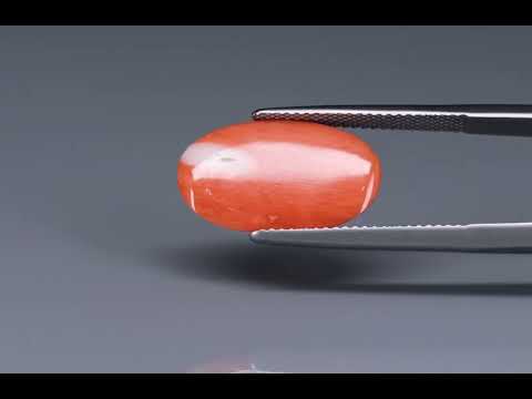 Primary video