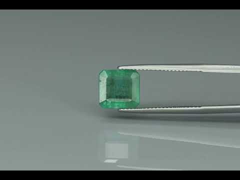 Primary video
