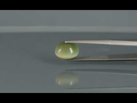 Primary video