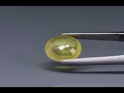 Primary video