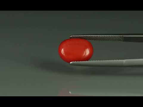 Primary video