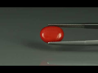 Primary video