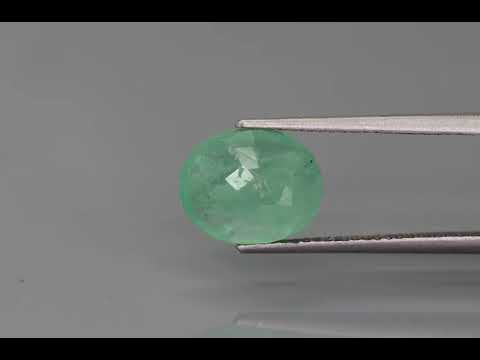 Primary video