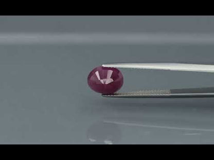 Primary video