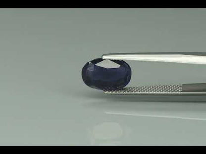 Primary video